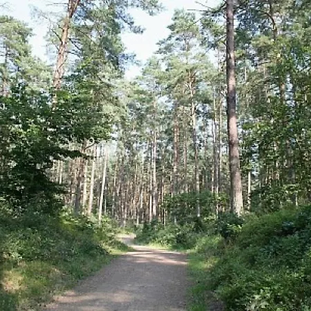 Seewind 217 Vakantiehuis